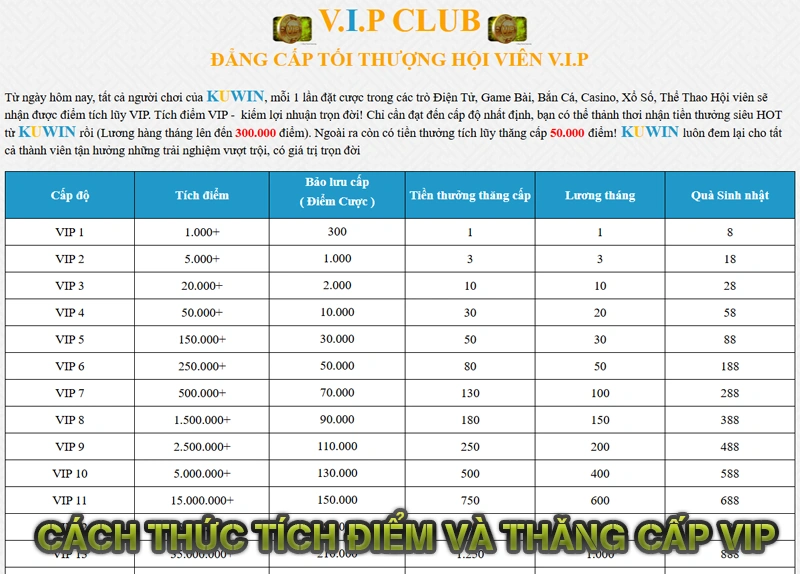 Cách thức tích điểm và thăng cấp VIP
