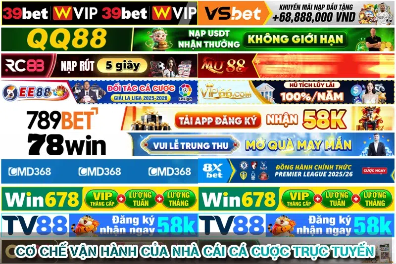 Hiểu Đúng Về Cá Cược Trực Tuyến - Góc Nhìn Thực Tế 7 Cơ Chế Vận Hành Của Nhà Cái Cá Cược Trực Tuyến